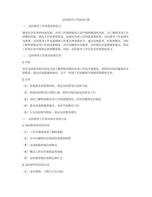 巡回督导工作情况汇报