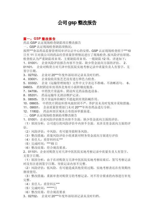 公司gsp整改报告