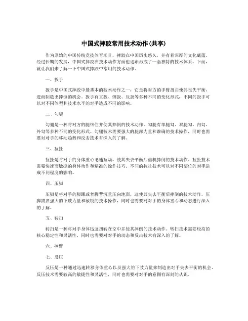 中国式摔跤常用技术动作(共享)