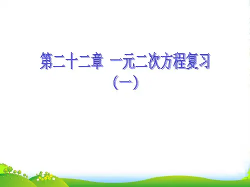 广东省广州市白云区九年级数学上册《第22章 一元二次方程》复习课件 新人教版