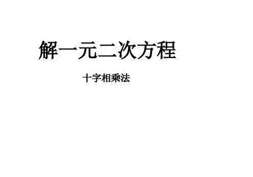 十字相乘法解一元二次方程课件