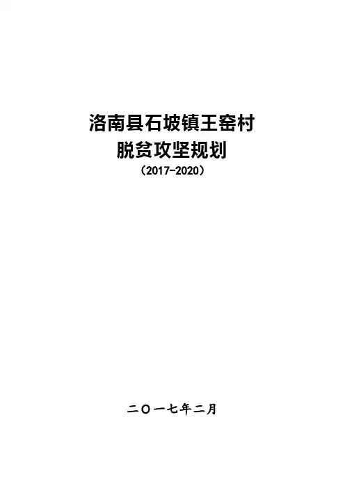 洛南王窑村综合发展规划[2] (1)