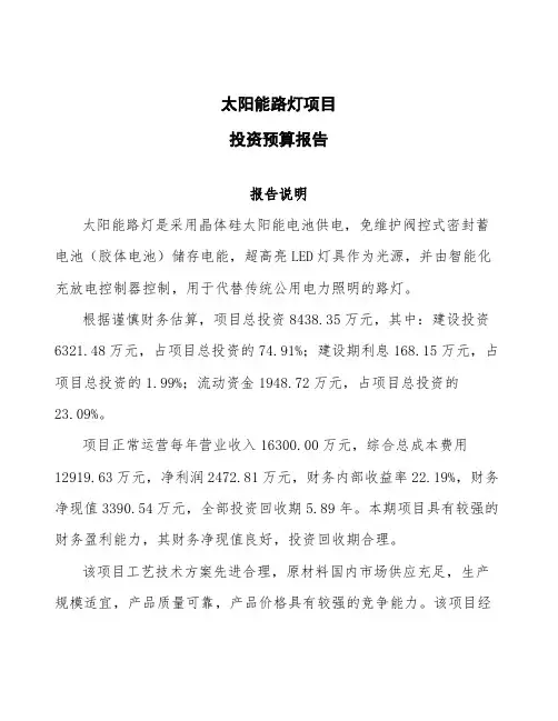太阳能路灯项目投资预算报告