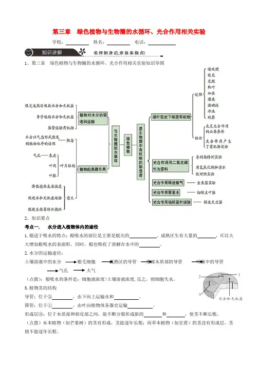 中山市2018年中考生物专题复习第三单元生物圈中的绿色植物第三章绿色植物与生物圈的水循环光合作用相关实验