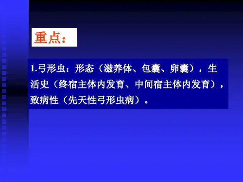 寄生虫：弓形虫