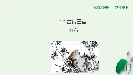 六年级下册古诗三首竹石人教统编版PPT