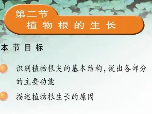探索生命的器具PPT课件7 苏教版