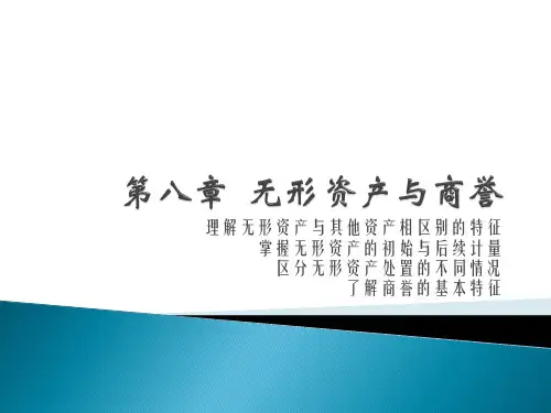 《无形资产与商誉》PPT课件