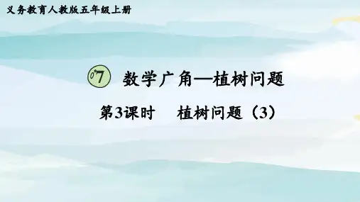 第3课时  植树问题(3)五上数学人教版大单元教学课件