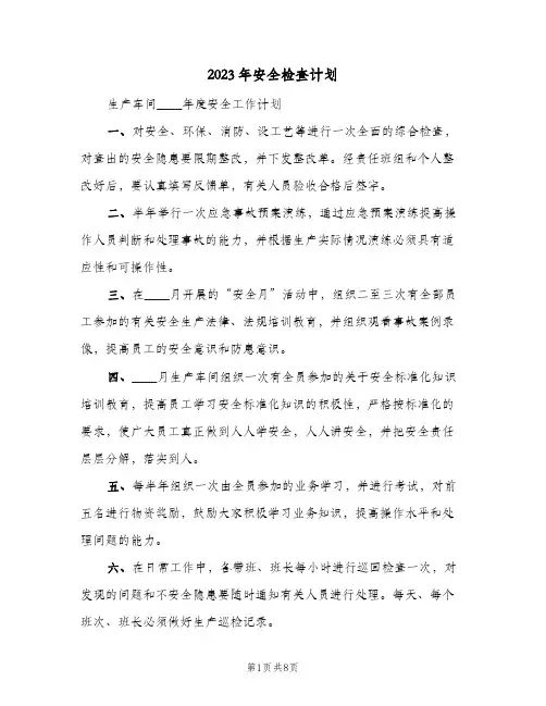2023年安全检查计划(5篇)