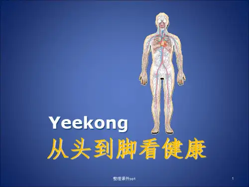 《从头到脚看健康》PPT课件
