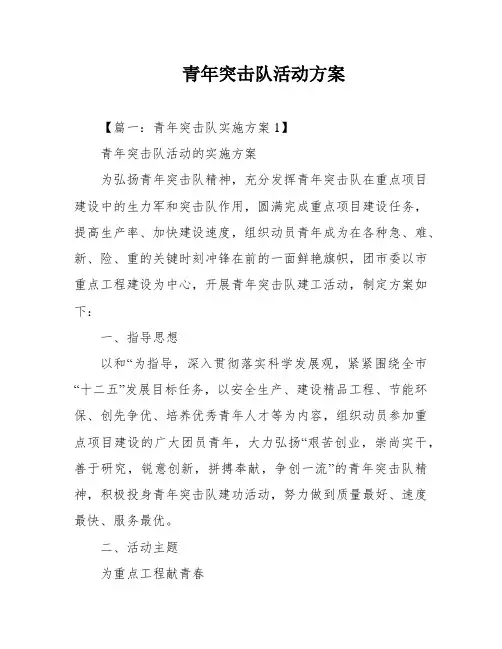 青年突击队活动方案