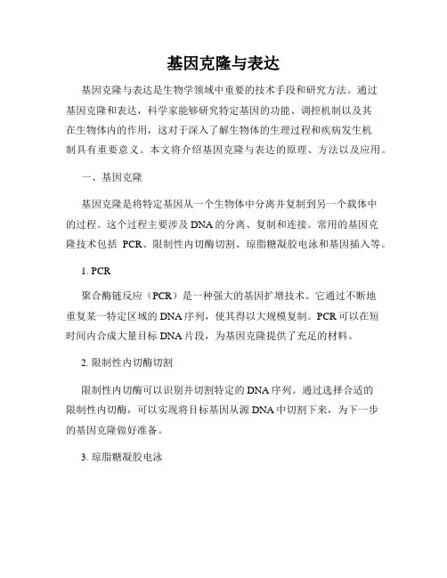基因克隆与表达