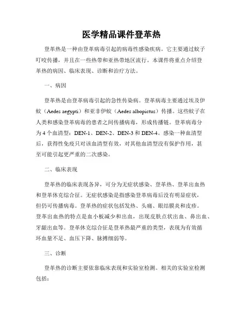 医学精品课件登革热