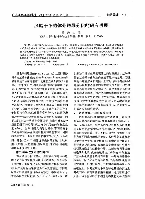 胚胎干细胞体外诱导分化的研究进展