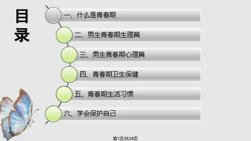 青春期性教育男PPT课件