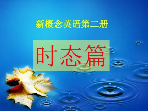 新概念第二册时态篇