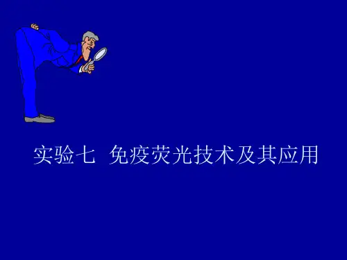 免疫荧光技术及其应用.ppt
