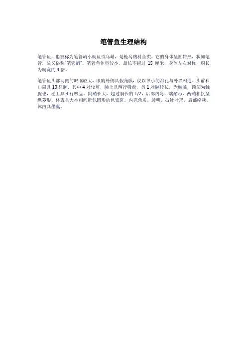笔管鱼生理结构