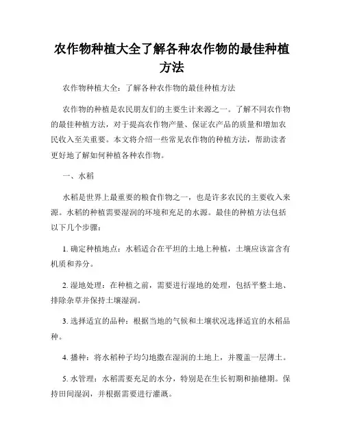 农作物种植大全了解各种农作物的最佳种植方法
