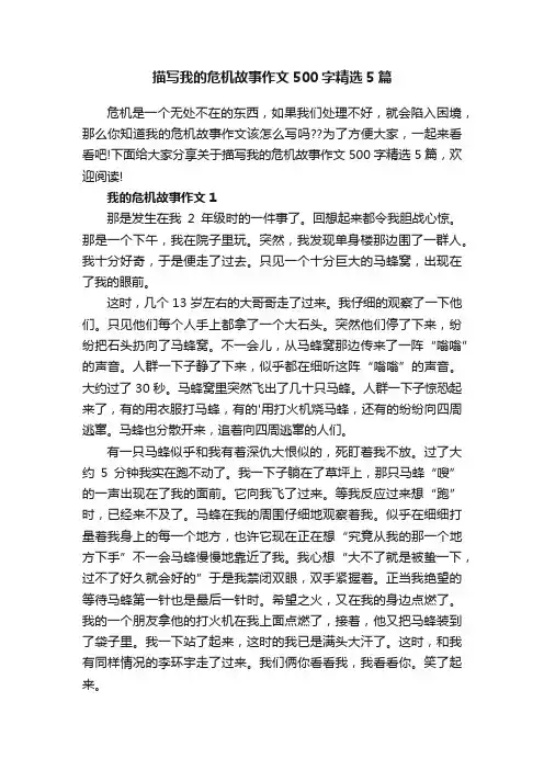 描写我的危机故事作文500字精选5篇