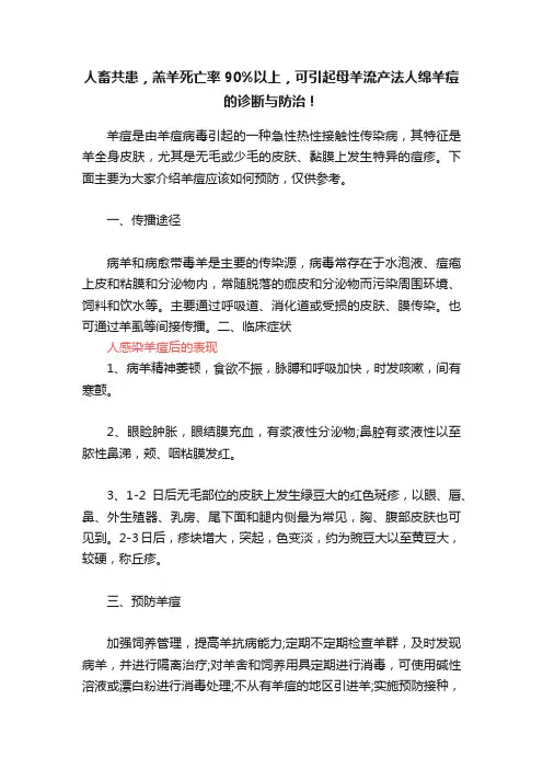 人畜共患,羔羊死亡率90%以上,可引起母羊流产法人绵羊痘的诊断与防治!