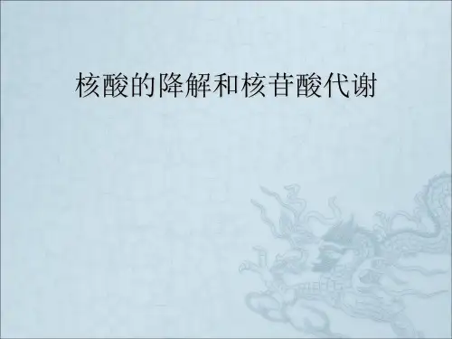 核酸的降解和核苷酸代谢
