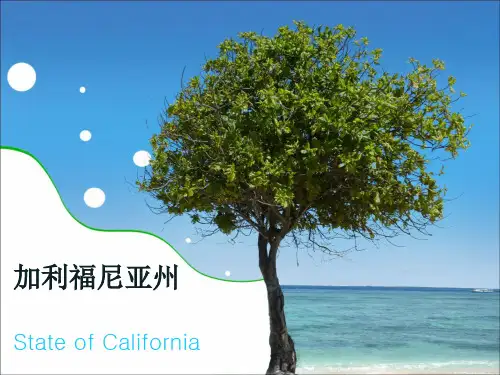 美国加利福尼亚州