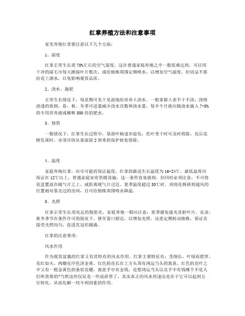 红掌养殖方法和注意事项