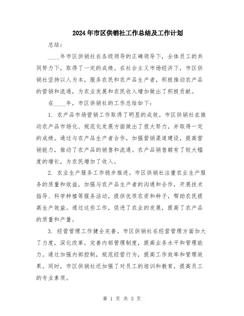 2024年市区供销社工作总结及工作计划