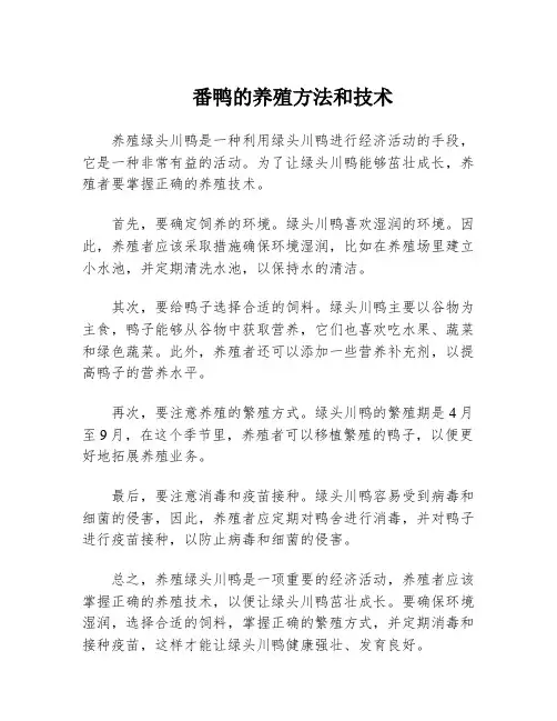 番鸭的养殖方法和技术