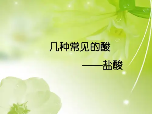几种常见的酸——盐酸PPT教学课件