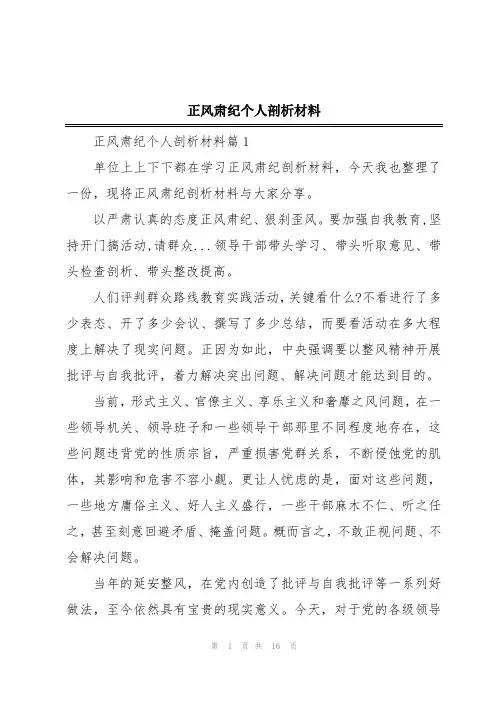 正风肃纪个人剖析材料