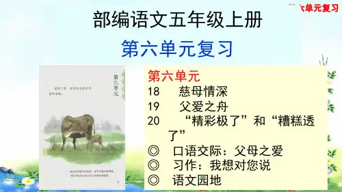 部编版五年级上册第六单元复习课件(共26张PPT)