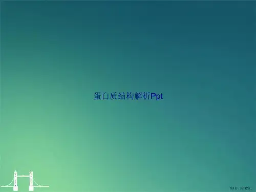 蛋白质结构解析Ppt讲课文档