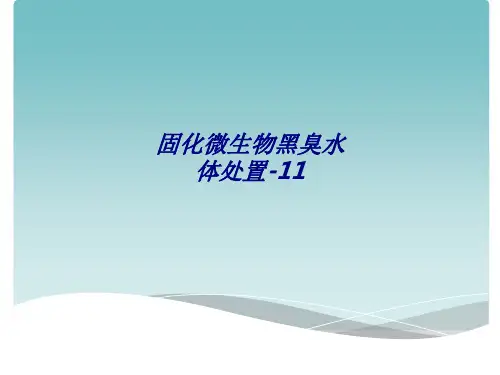 固化微生物黑臭水体处置专题培训课件