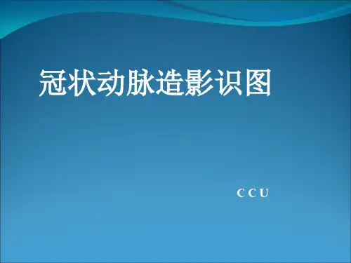 【源版】冠状动脉造影识图-CCU