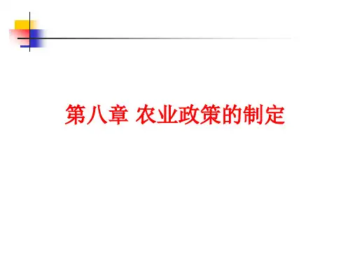 农业政策学课件   第八章农业政策的制定