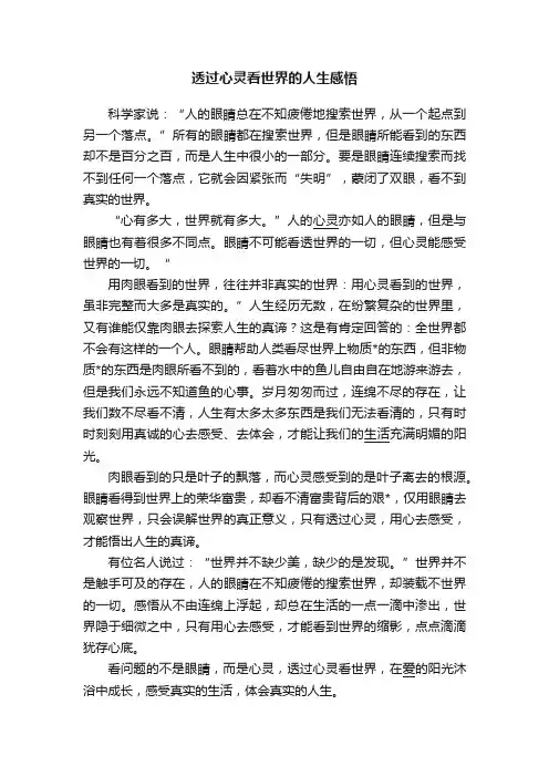 透过心灵看世界的人生感悟
