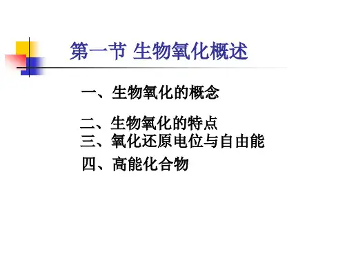 第一节：生物氧化概述