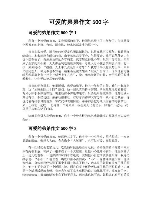 可爱的弟弟作文500字