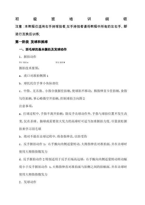 羽毛球教程初级完整版