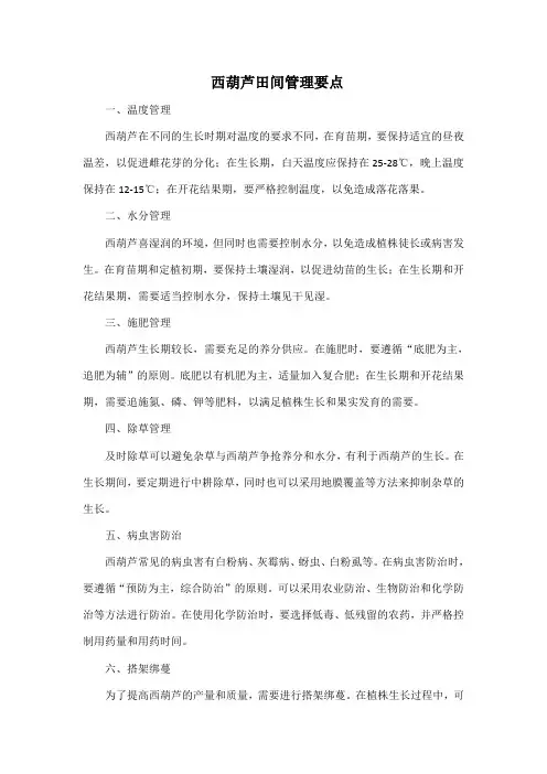 西葫芦田间管理要点