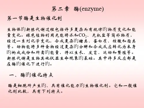 第二章酶(enzyme)专题知识讲座