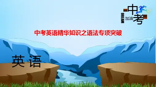 中考英语精华知识之语法专项突破课件第12讲 简单句及特殊句型