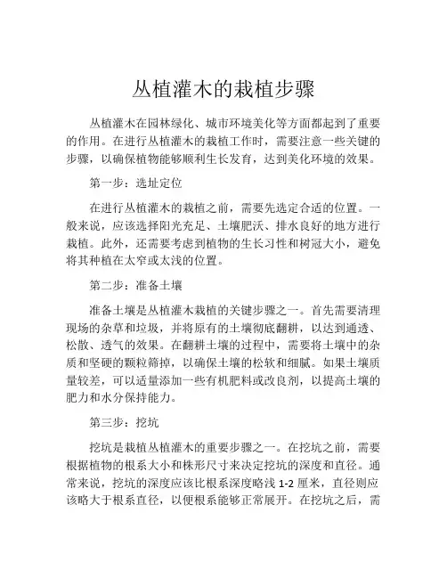 丛植灌木的栽植步骤