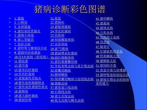 00猪病诊断彩色图谱(总目录)
