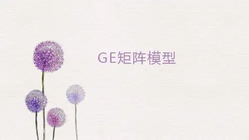 GE矩阵模型
