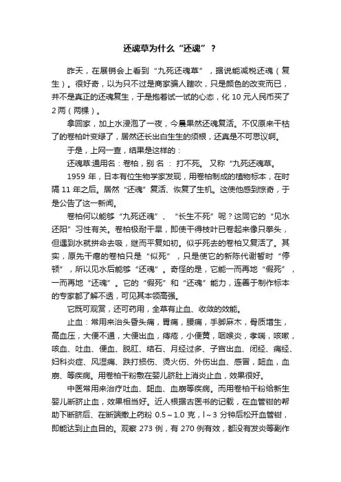 还魂草为什么“还魂”？