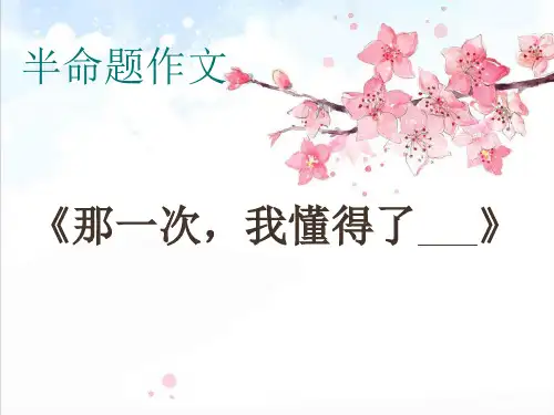 《我懂得了___》作文讲解精品PPT课件